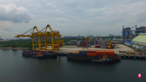 港务集团裕廊岛码头吞吐量逾10万个标准箱创新高